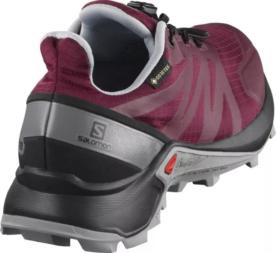 Trail shoes Salomon SUPERCROSS GTX W