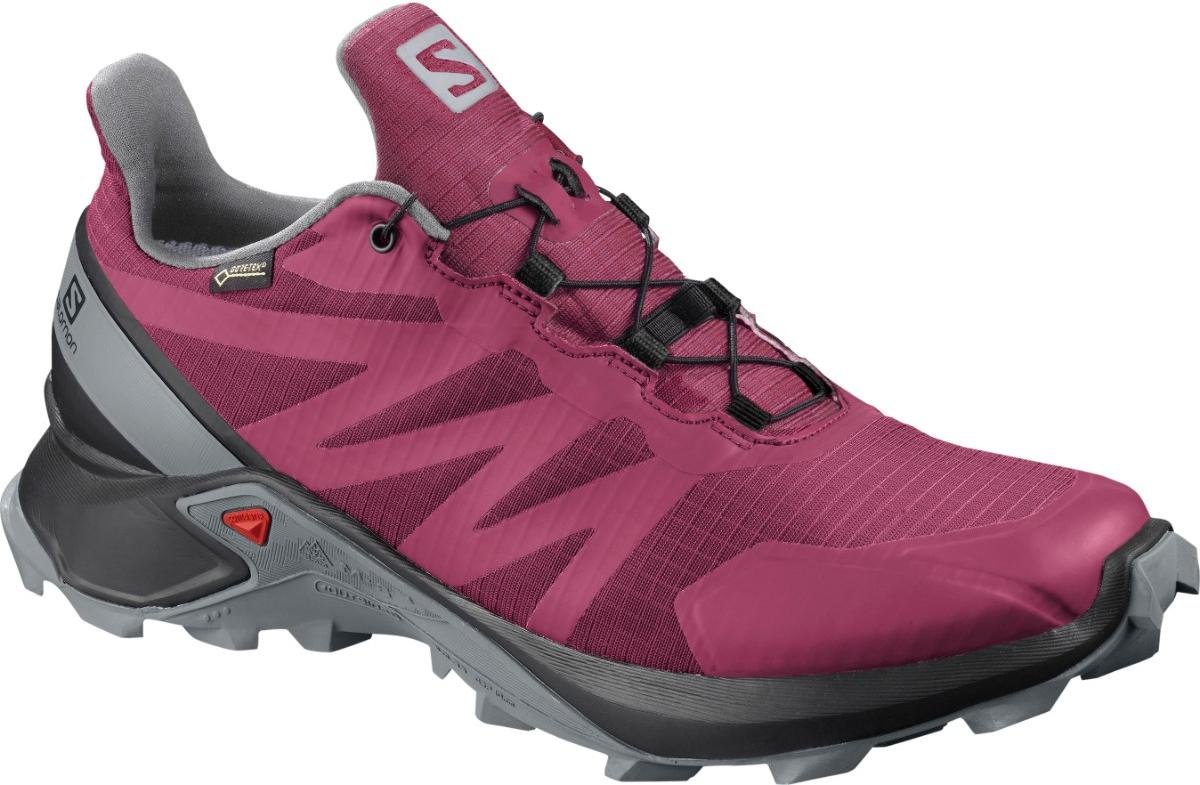 Trail shoes Salomon SUPERCROSS GTX W