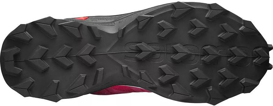 Trail shoes Salomon SUPERCROSS W