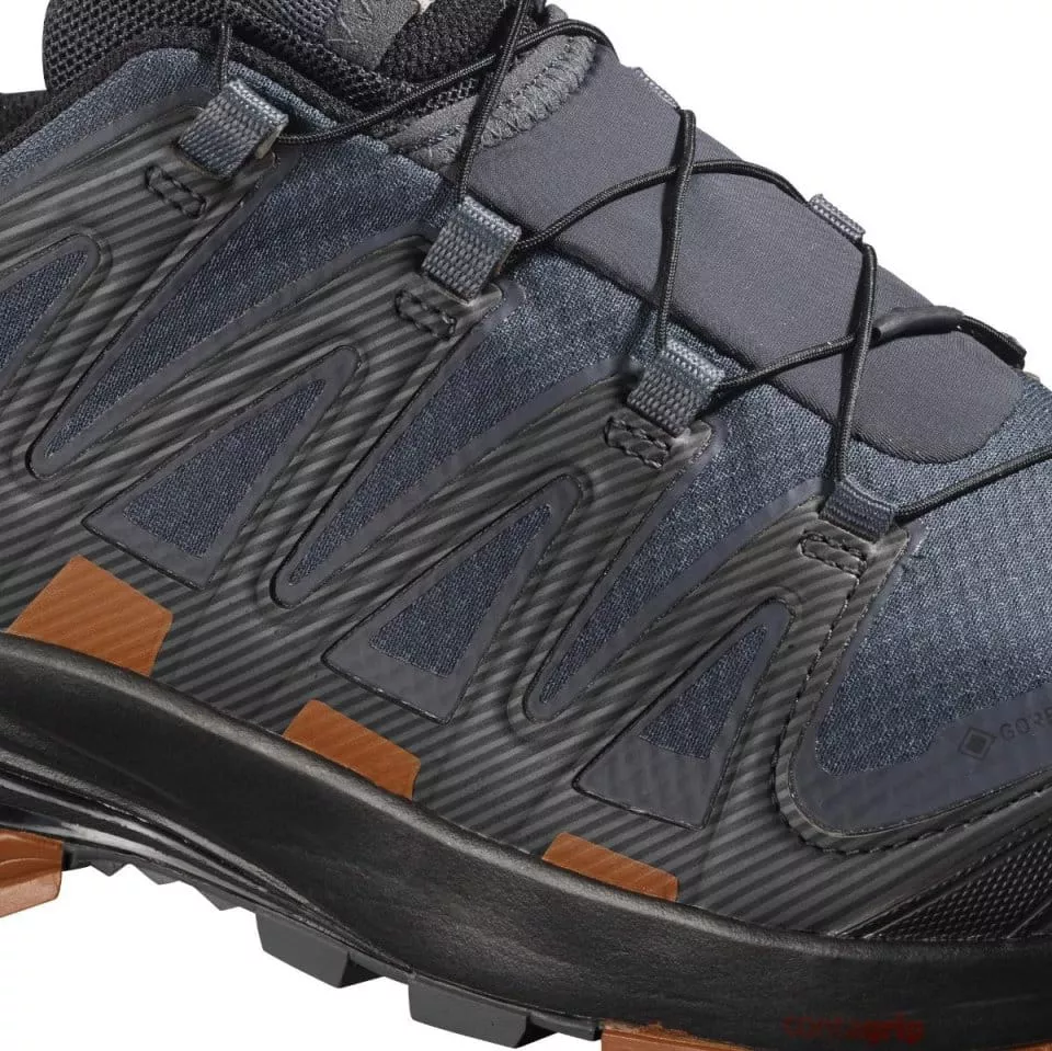 Trail schoenen Salomon XA PRO 3D v8 GTX