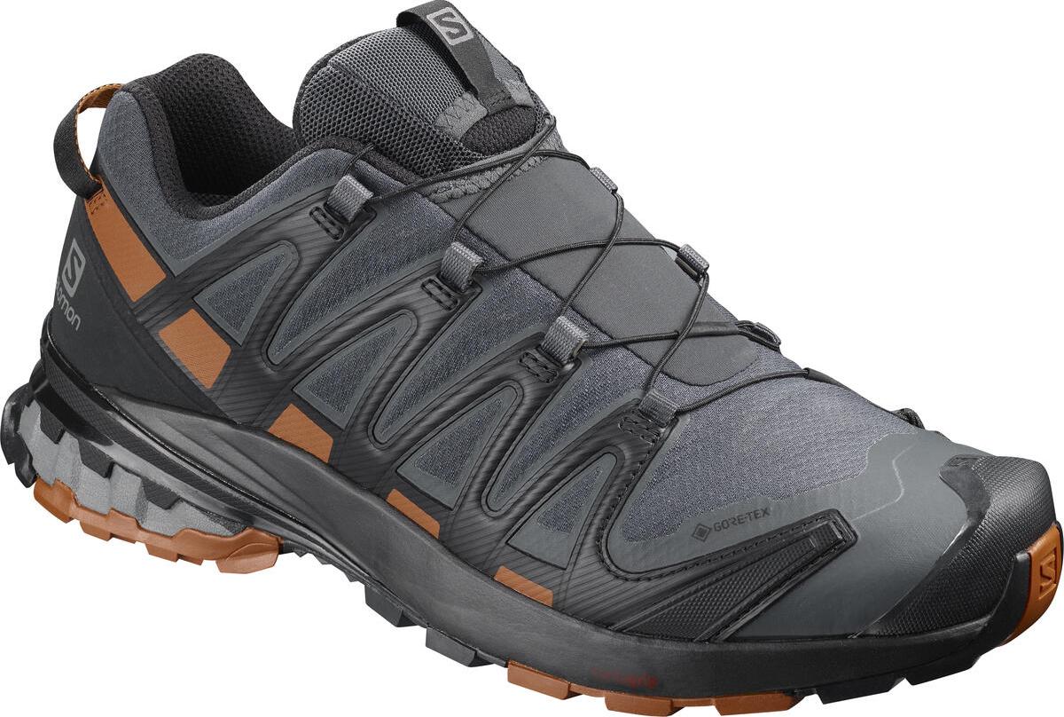 Trail-Schuhe Salomon XA PRO 3D v8 GTX