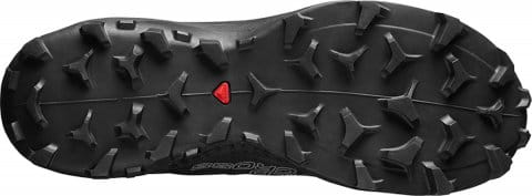 salomon wildcross gtx