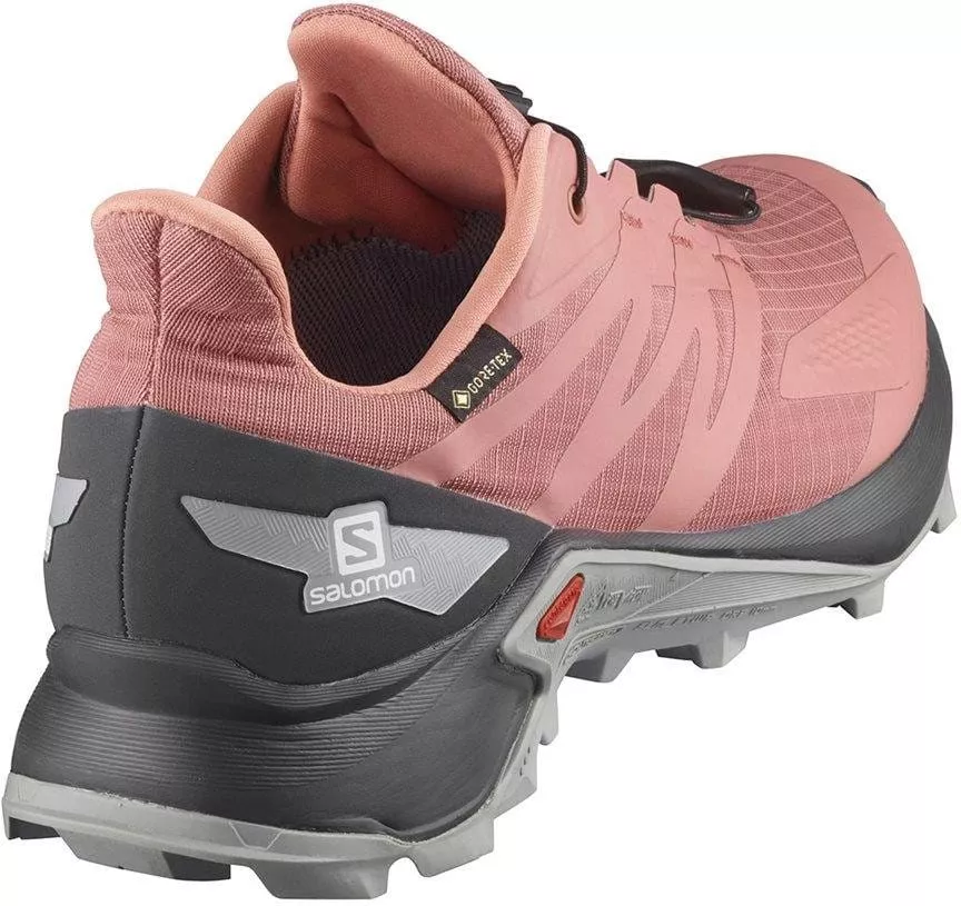 Trail shoes Salomon SUPERCROSS BLAST GTX W