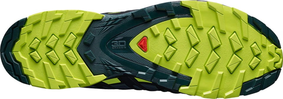 Uit Verdikken nemen Trail shoes Salomon XA PRO 3D v8 GTX - Top4Running.com