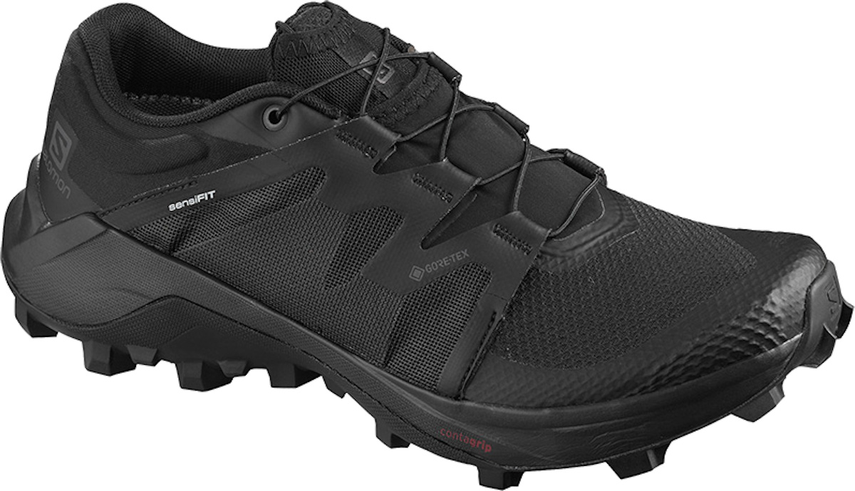 Trail shoes Salomon WILDCROSS GTX W