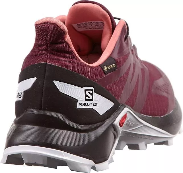 Trail schoenen Salomon SUPERCROSS BLAST GTX W