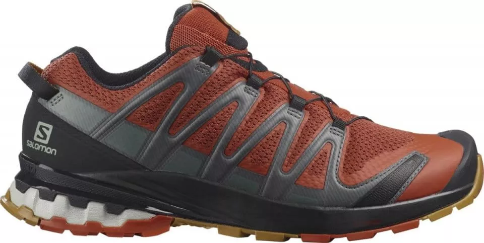 Chaussures de trail Salomon XA PRO 3D v8