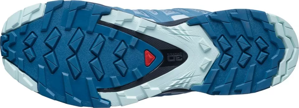 Trail schoenen Salomon XA PRO 3D v8 W