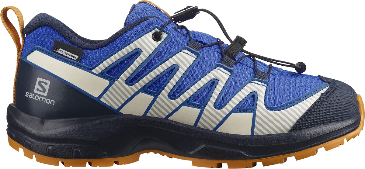 Sapatilhas de trail Salomon XA PRO V8 CSWP J