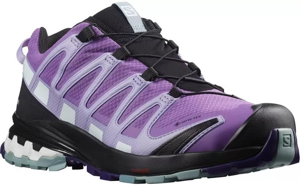 Scarpe per sentieri Salomon XA PRO 3D v8 GTX W