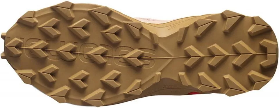 Trail schoenen Salomon SUPERCROSS 3 W