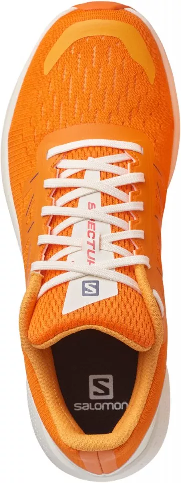 Chaussures de running Salomon SPECTUR