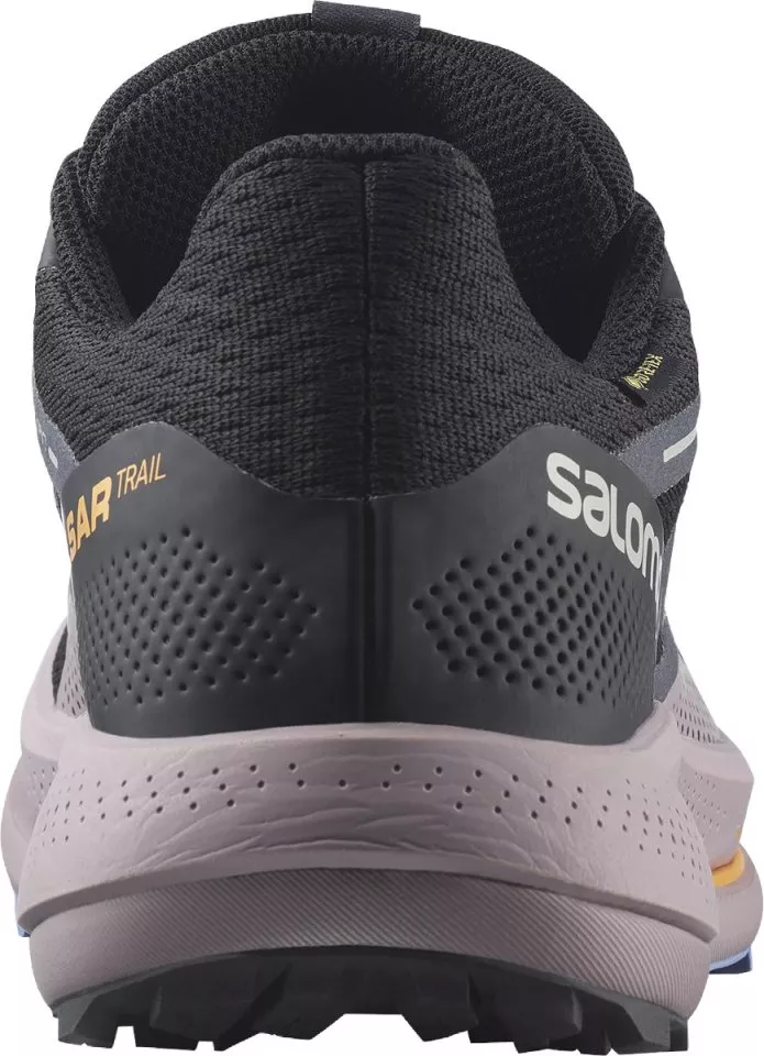 schoenen Salomon PULSAR TRAIL GTX W