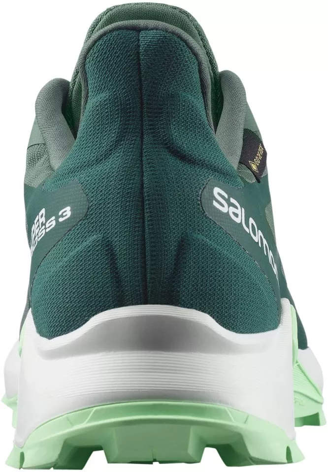 Trail schoenen Salomon SUPERCROSS 3 GTX W