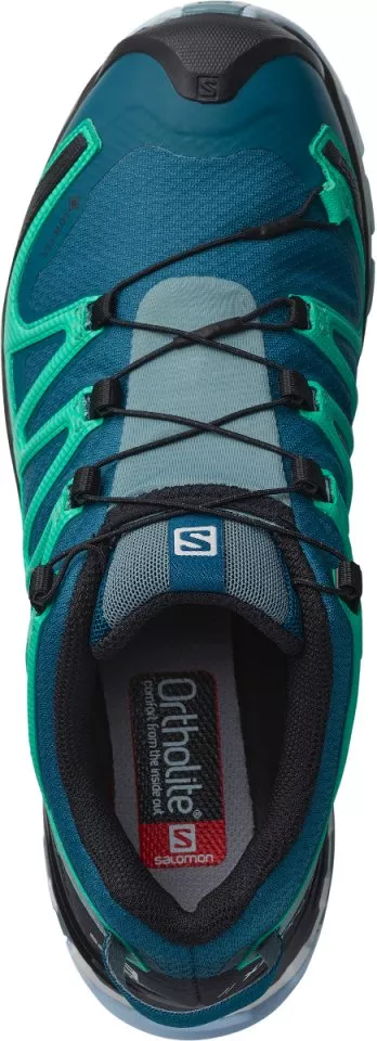 Trail shoes Salomon XA PRO 3D v8 GTX W
