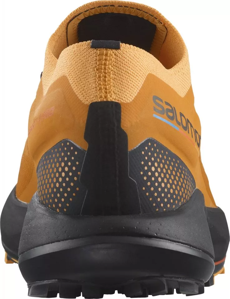 Trail shoes Salomon PULSAR TRAIL/PRO