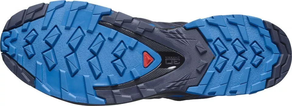 Chaussures de trail Salomon XA PRO 3D v8 GTX