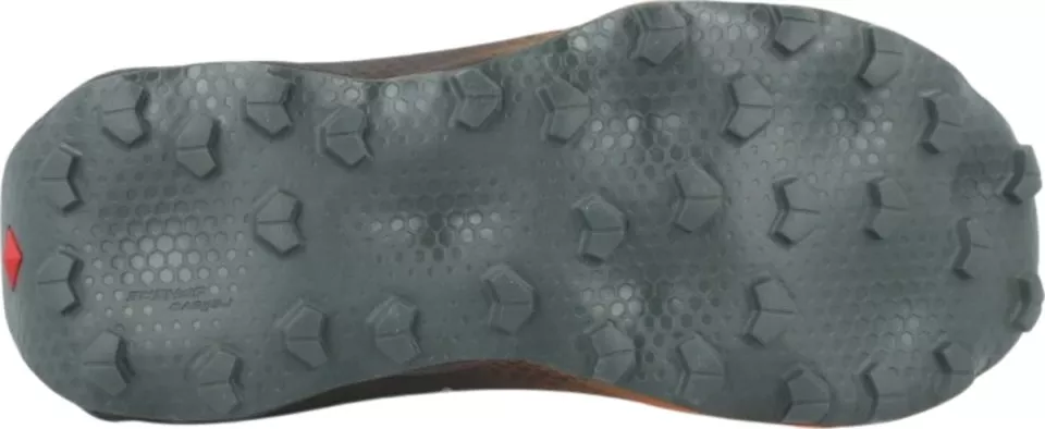 Trail tenisice Salomon Ultra Glide 4