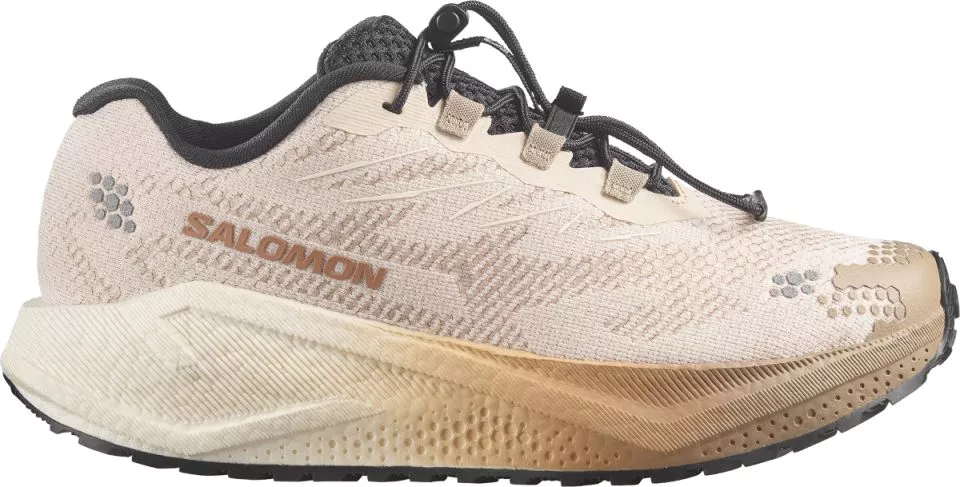 Running shoes Salomon Aero Blaze 4 GRVL