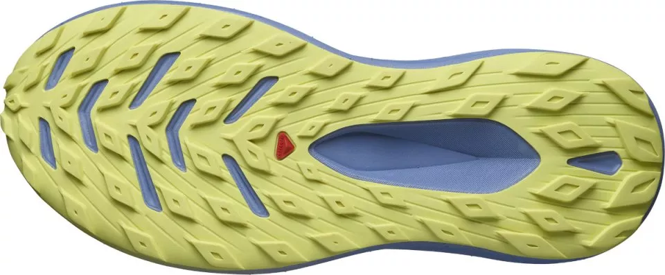 Trail shoes Salomon GLIDE MAX TR