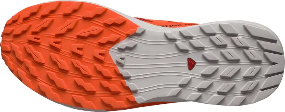 Sapatilhas de trail Salomon SENSE RIDE 5