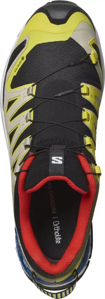 Trail-Schuhe Salomon XA PRO 3D V9 GTX