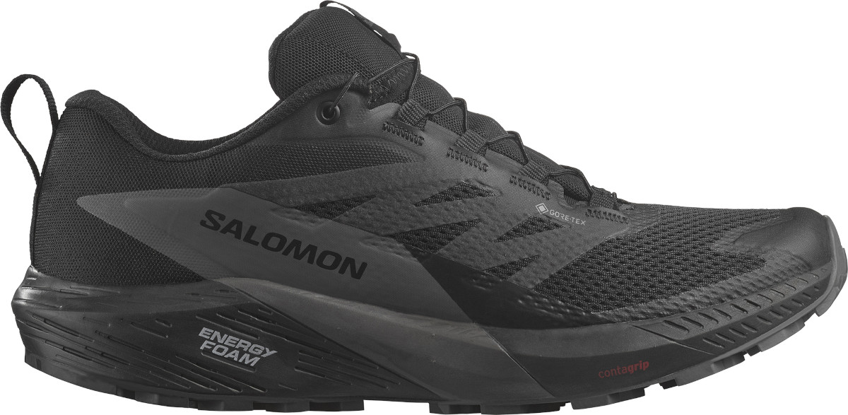 Zapatillas para trail Salomon SENSE RIDE 5 GTX