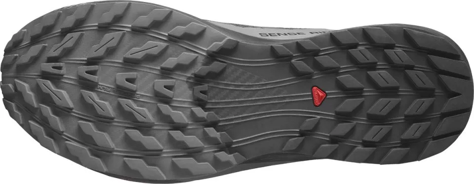 Trail schoenen Salomon SENSE RIDE 5 GTX