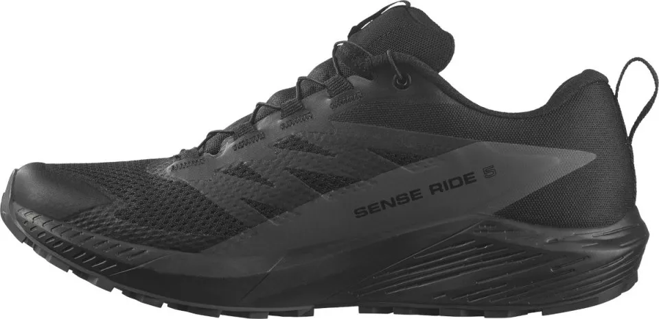 Trail shoes Salomon SENSE RIDE 5 GTX