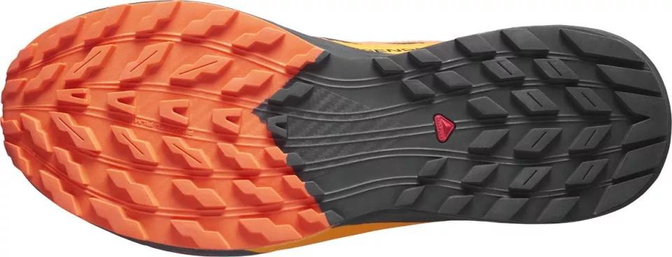 Trail-Schuhe Salomon SENSE RIDE 5 GTX