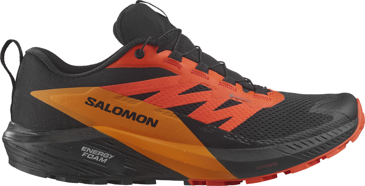 Salomon SENSE RIDE 5 GTX Terepfutó cipők