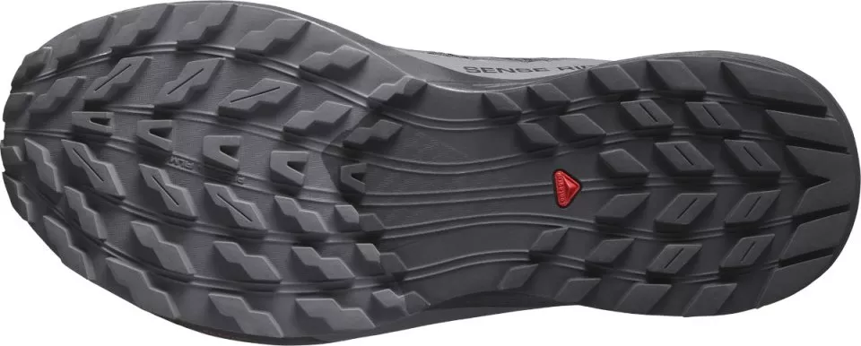 Pantofi trail Salomon SENSE RIDE 5 GTX W