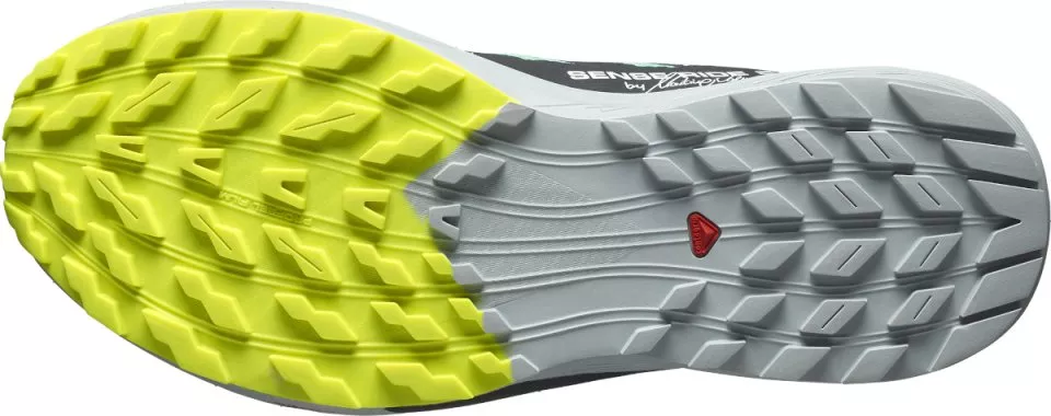 Zapatillas para trail Salomon SENSE RIDE 5 MARTINA LTD