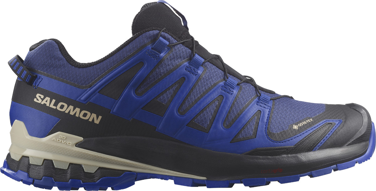 Trail-Schuhe Salomon XA PRO 3D V9 GTX