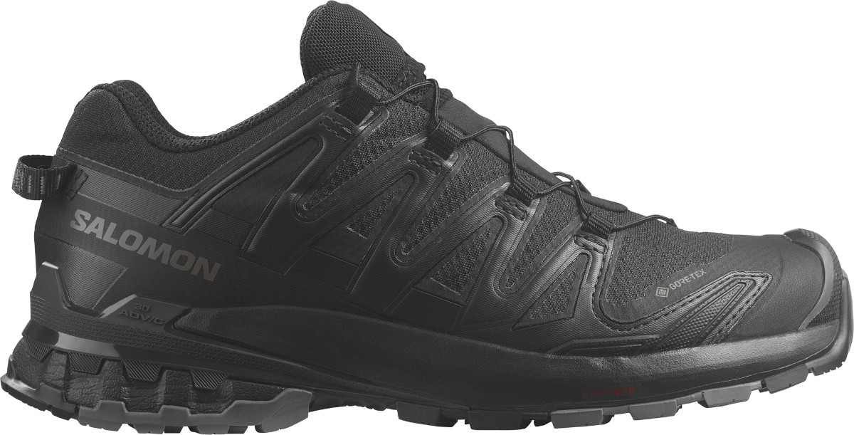 Trail shoes Salomon XA PRO 3D V9 GTX W