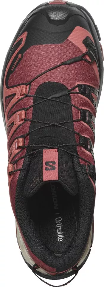 Trail-Schuhe Salomon XA PRO 3D V9 GTX W