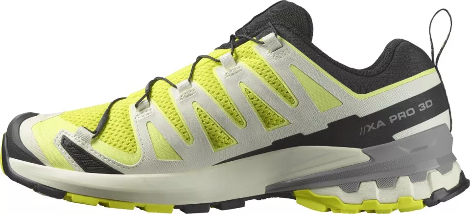 Trail schoenen Salomon XA PRO 3D V9