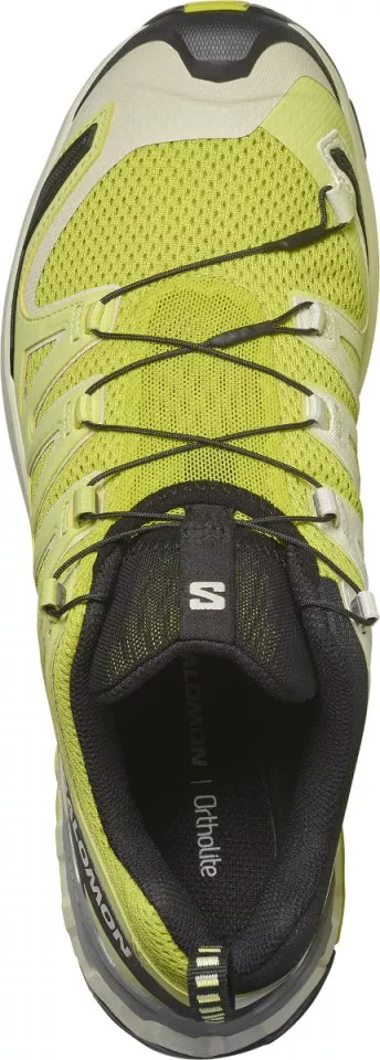 Trail schoenen Salomon XA PRO 3D V9