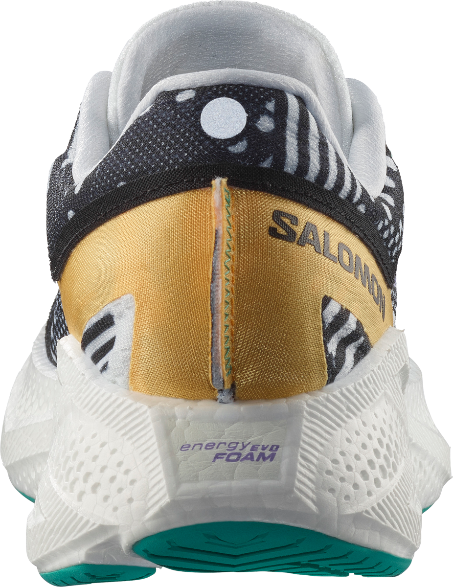 salomon-aero-glide-3-proto-