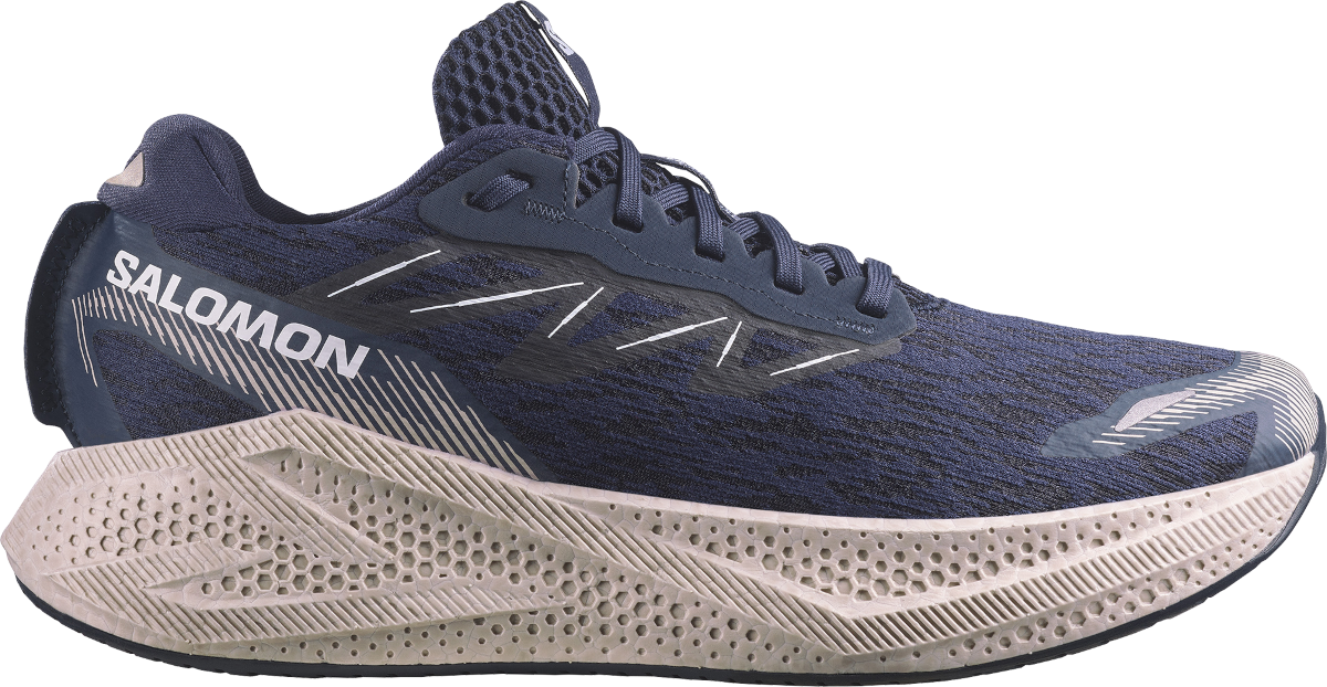 Salomon Aero Glide 4