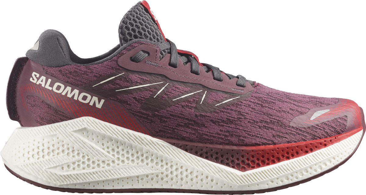 Salomon Aero Glide 4
