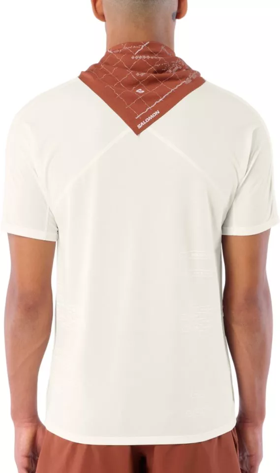 T-shirt Salomon Sense Aero