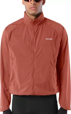 SHAKEout Fly