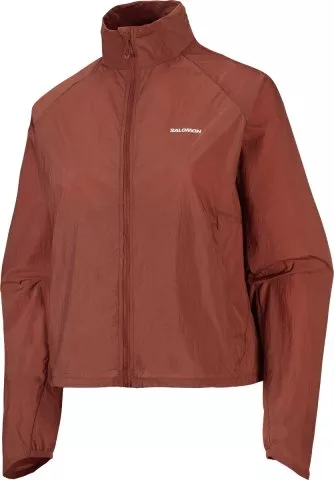 SHAKEout Fly