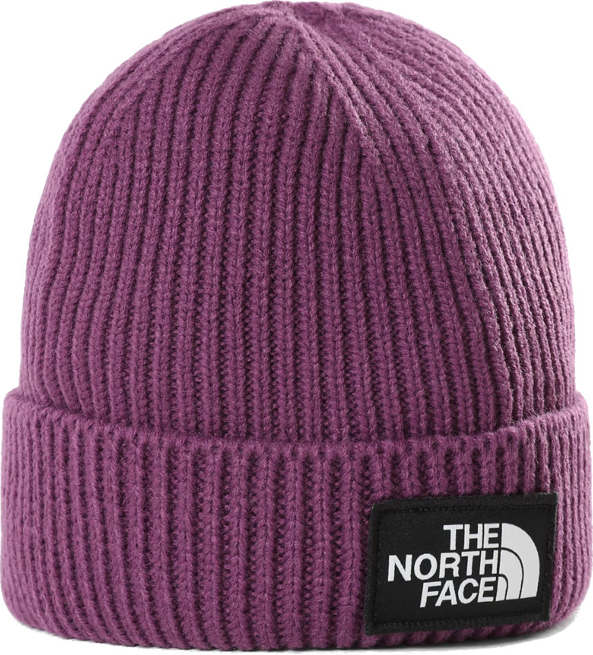 Hat The North Face YOUTH TNF BOX LOGO CUFF BEANIE