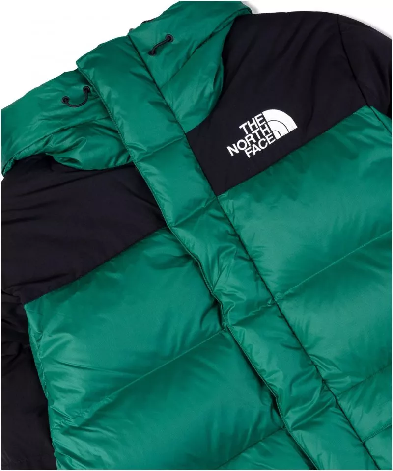 Hooded jacket The North Face hmlyn down parka fnl1
