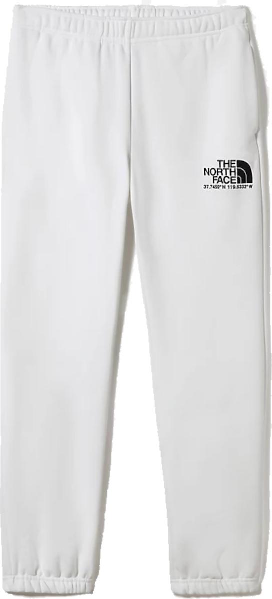 Pantalón The North Face M LOGO PLUS PANT