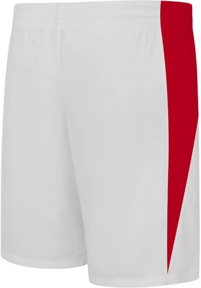 Σορτς Nike MEN S TEAM BASKETBALL STOCK SHORT