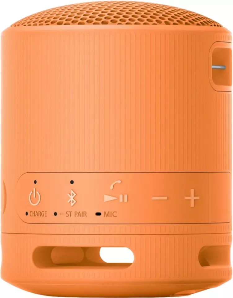 Högtalare SONY SRS-XB100