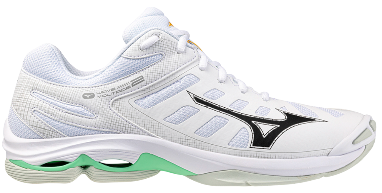 Mizuno Wave Voltage shoe